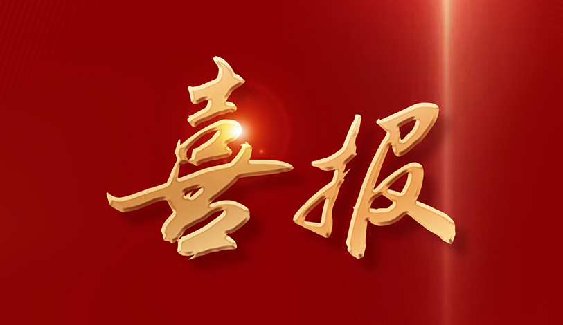 喜讯 | 宝新能源荣获推进“百万万工程”事情体现突出整体声誉称呼